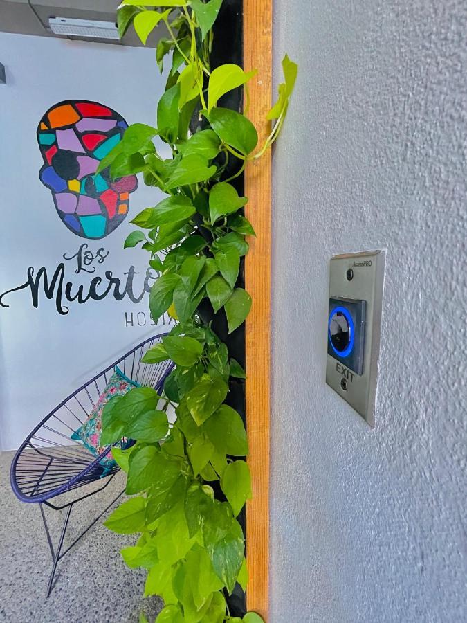 Los Muertos Hostal Puerto Vallarta Kültér fotó
